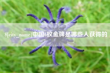 简阳中国6枚金牌是哪些人获得的
