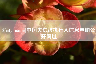简阳中国失信被执行人信息查询公开网址