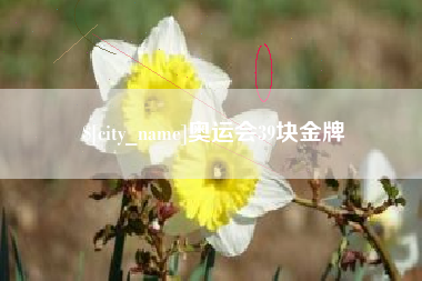 简阳奥运会39块金牌