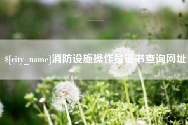简阳消防设施操作员证书查询网址