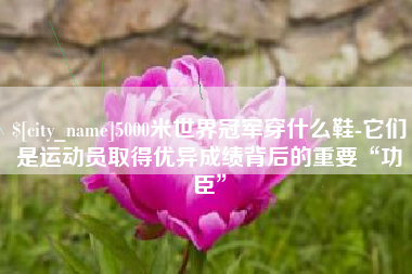 简阳5000米世界冠军穿什么鞋-它们是运动员取得优异成绩背后的重要“功臣”
