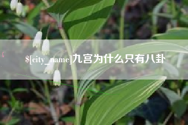 简阳九宫为什么只有八卦