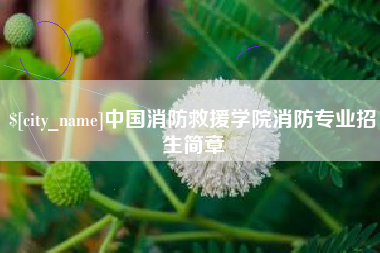 简阳中国消防救援学院消防专业招生简章