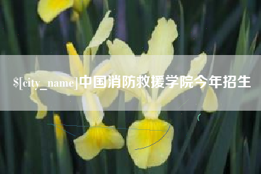 简阳中国消防救援学院今年招生
