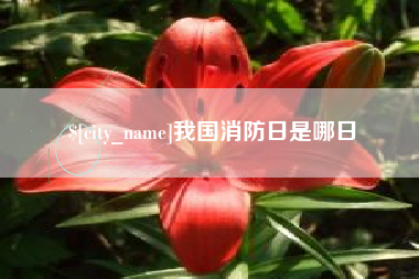 简阳我国消防日是哪日