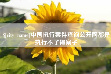 简阳中国执行案件查询公开网都是执行不了得案子