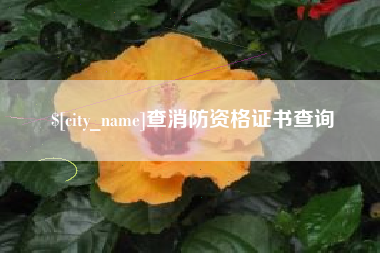 简阳查消防资格证书查询