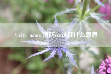 简阳消防ccc认证什么意思