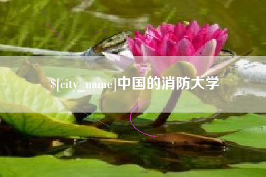 简阳中国的消防大学