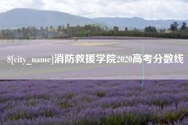 简阳消防救援学院2020高考分数线
