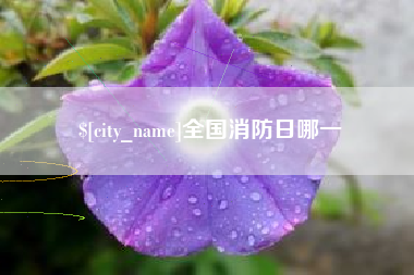 简阳全国消防日哪一