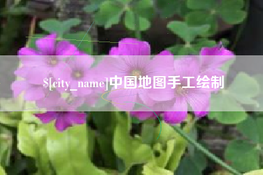 简阳中国地图手工绘制