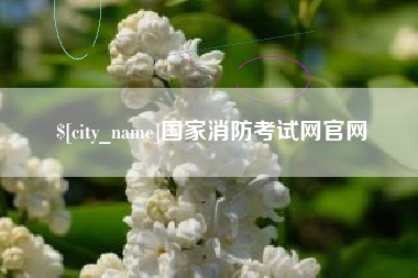 简阳国家消防考试网官网