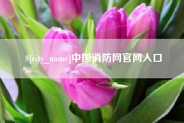 简阳中国消防网官网入口