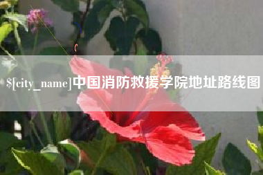 简阳中国消防救援学院地址路线图
