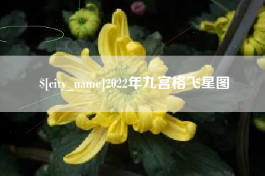 简阳2022年九宫格飞星图