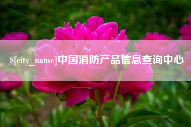 简阳中国消防产品信息查询中心