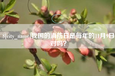 简阳我国的消防日是每年的11月9日对吗？