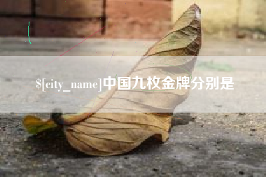 简阳中国九枚金牌分别是
