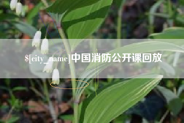 简阳中国消防公开课回放