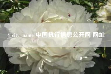 简阳中国执行信息公开网 网址