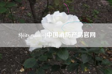 简阳中国消防产品官网