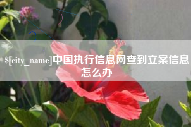 简阳中国执行信息网查到立案信息怎么办