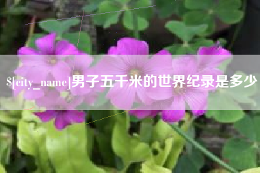 简阳男子五千米的世界纪录是多少