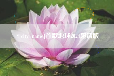 简阳谷歌地球2024超清版