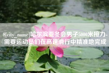简阳哈尔滨亚冬会男子5000米接力-需要运动员们在高速滑行中精准地完成