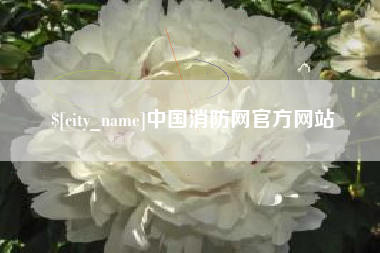 简阳中国消防网官方网站