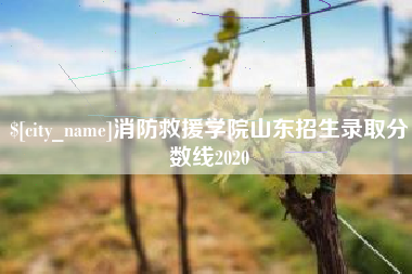 简阳消防救援学院山东招生录取分数线2020
