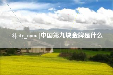 简阳中国第九块金牌是什么