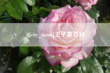 简阳王子豪百科