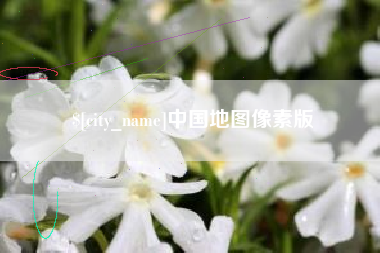 简阳中国地图像素版