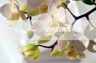 简阳119消防日哪年开始