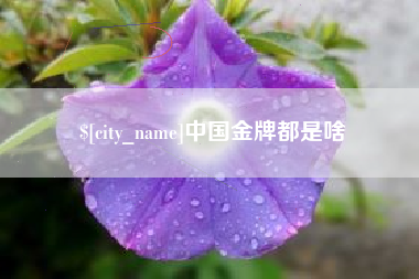 简阳中国金牌都是啥