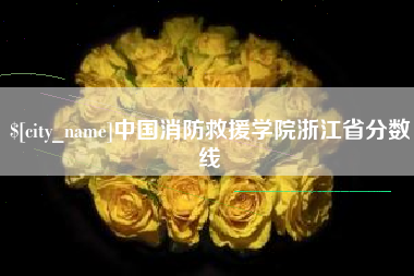 简阳中国消防救援学院浙江省分数线