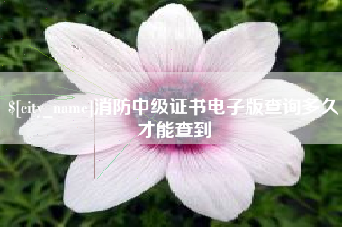 简阳消防中级证书电子版查询多久才能查到