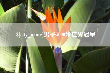 简阳男子5000米世界冠军