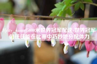 简阳5000米世界冠军配速-世界冠军们往往能在比赛中巧妙地分配体力