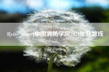 简阳中国消防学院2024年分数线