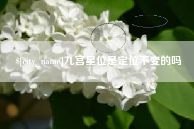 简阳九宫星位是定位不变的吗