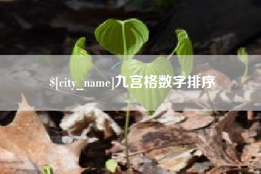 简阳九宫格数字排序