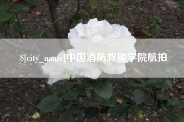 简阳中国消防救援学院航拍