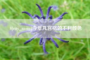 简阳今年九宫格的不利颜色