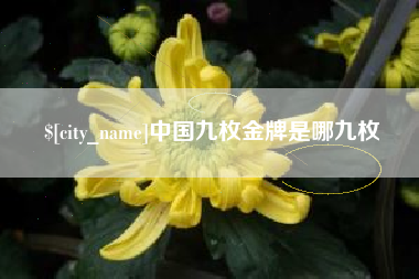简阳中国九枚金牌是哪九枚
