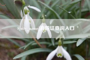 简阳消防证查询入口