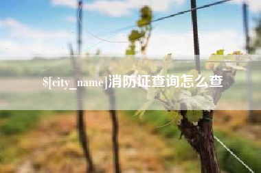 简阳消防证查询怎么查