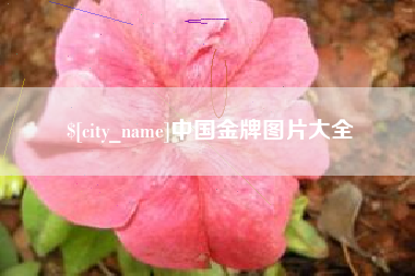 简阳中国金牌图片大全